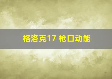 格洛克17 枪口动能